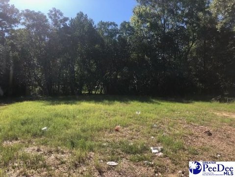 Land, Hartsville, SC