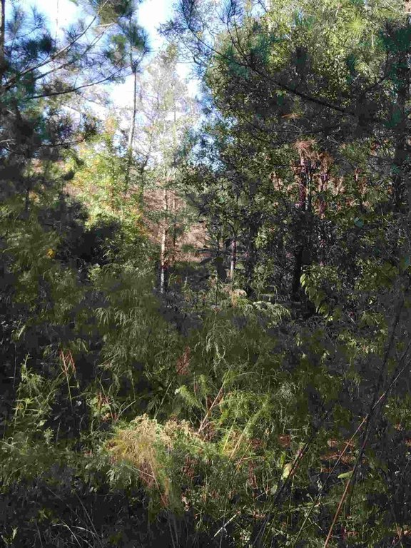 Picture 16