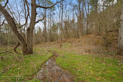 Hiwassee, VA Wooded Acreage