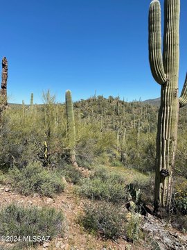 Marana Land Parcel For Sale