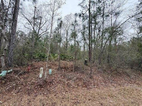 Land in Gated Woodbine Community