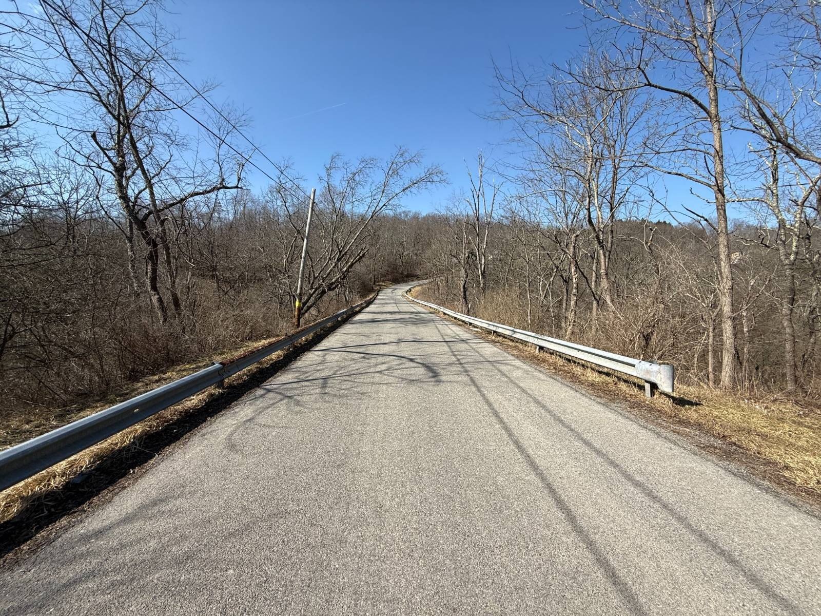 Secluded 40-Acre Hunting Land