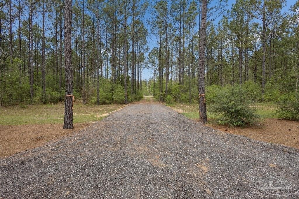 Pace Acreage Homesite Opportunity