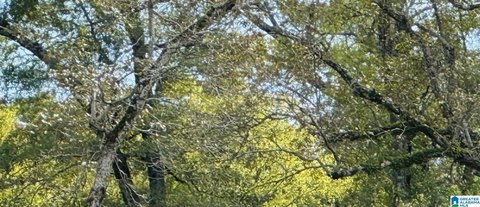 Residential Home Lot