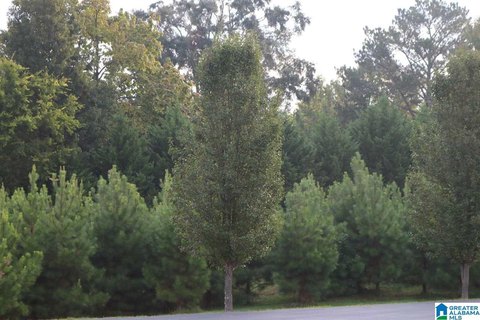Residential Home Lot