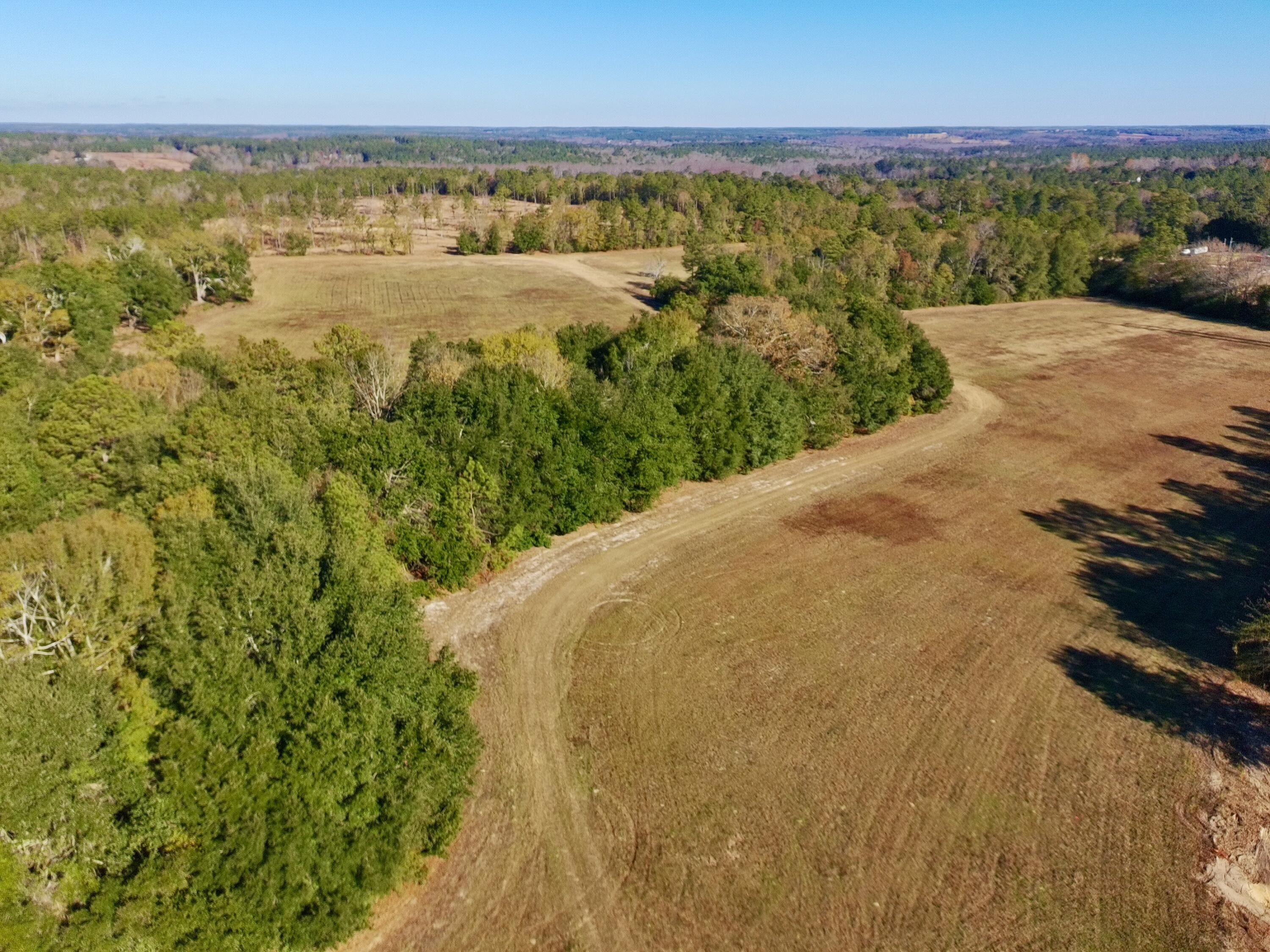 77 Acres in Aiken Equestrian
