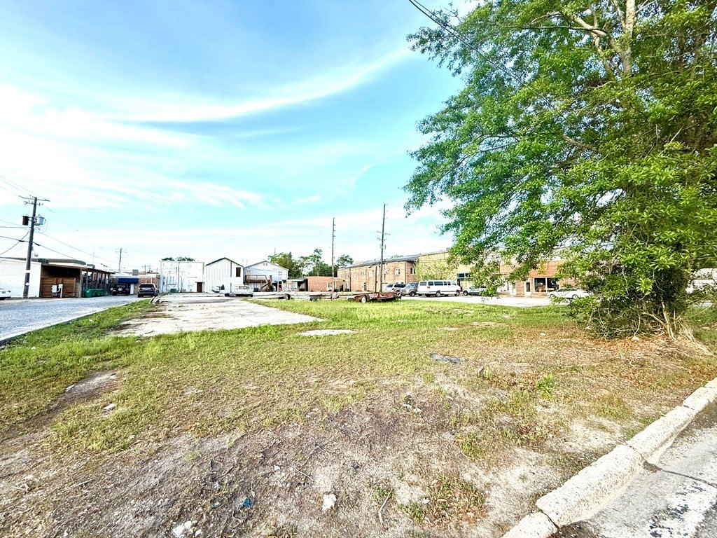 Picture 3