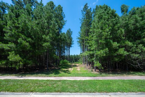 Spacious Wooded Homesite in Siler