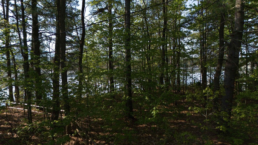 Picture 10