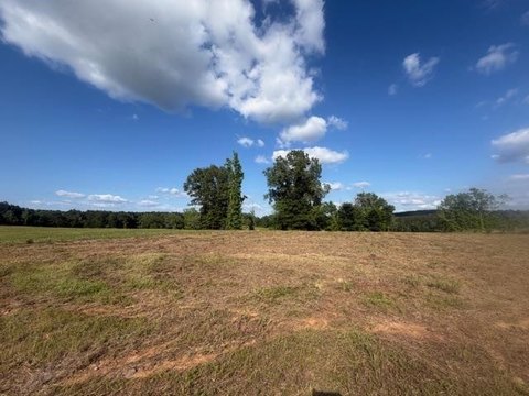 LAND, Diana, TX