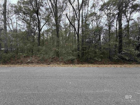 Unrestricted Land in Growing Mobile