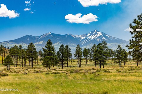 Land, Flagstaff, AZ