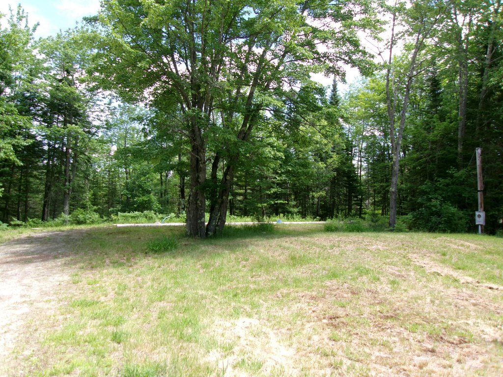 Picture 4