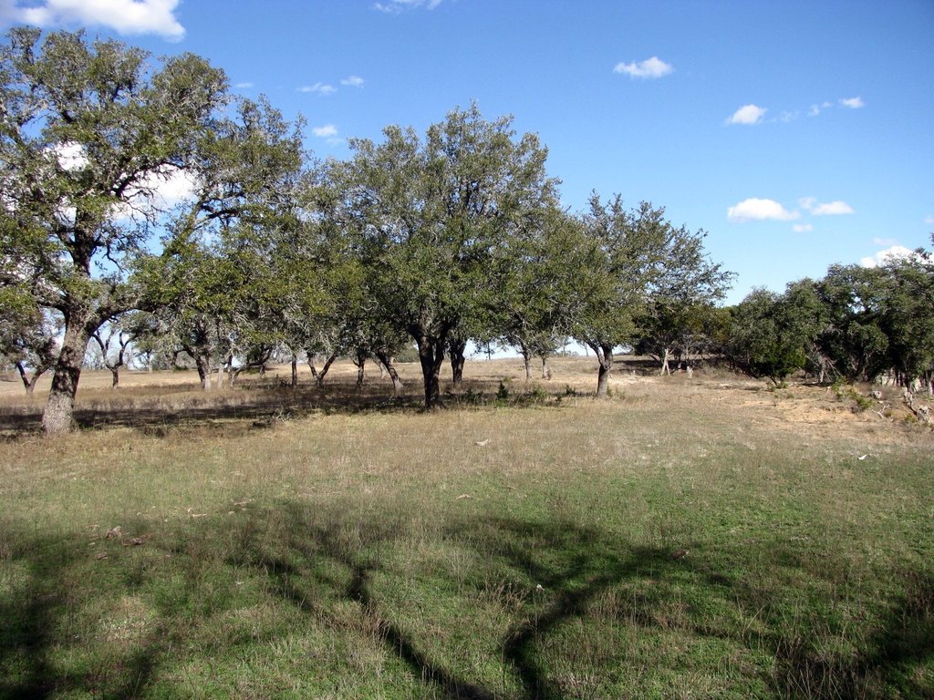 Picture 12