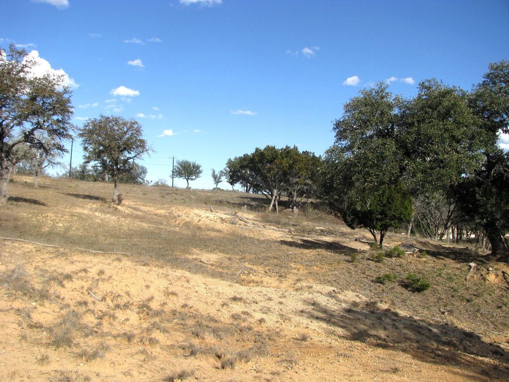 Picture 14