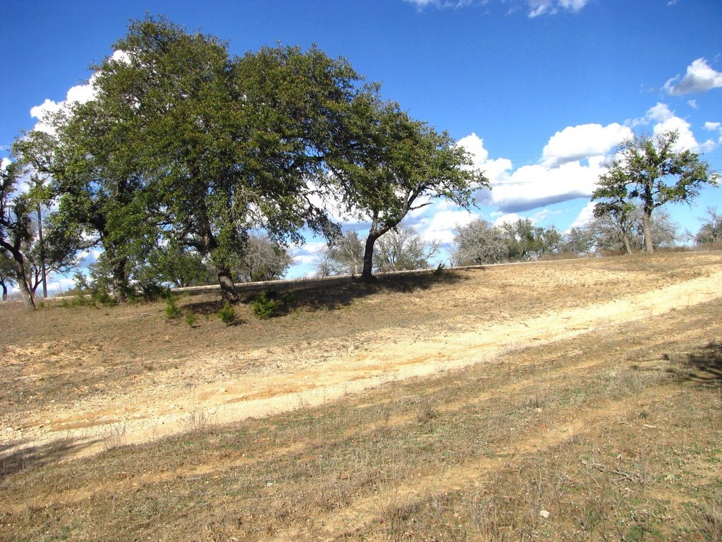 Picture 22