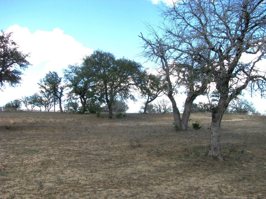 Picture 21