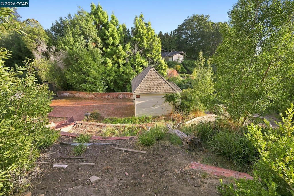 Picture 19