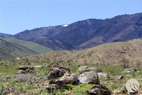 Belfry, Montana Land with Views