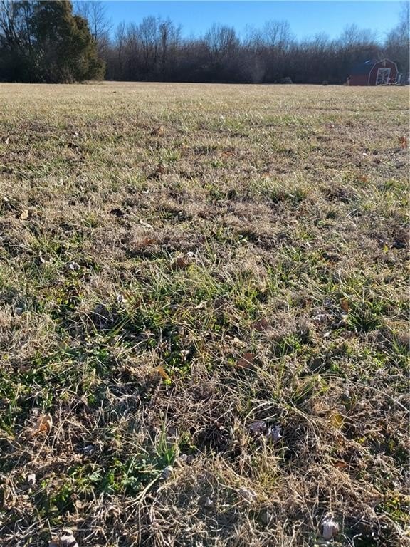 Picture 2