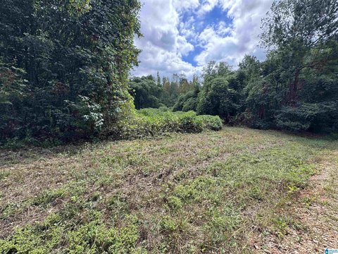 LAND/LOTS, DELTA, AL