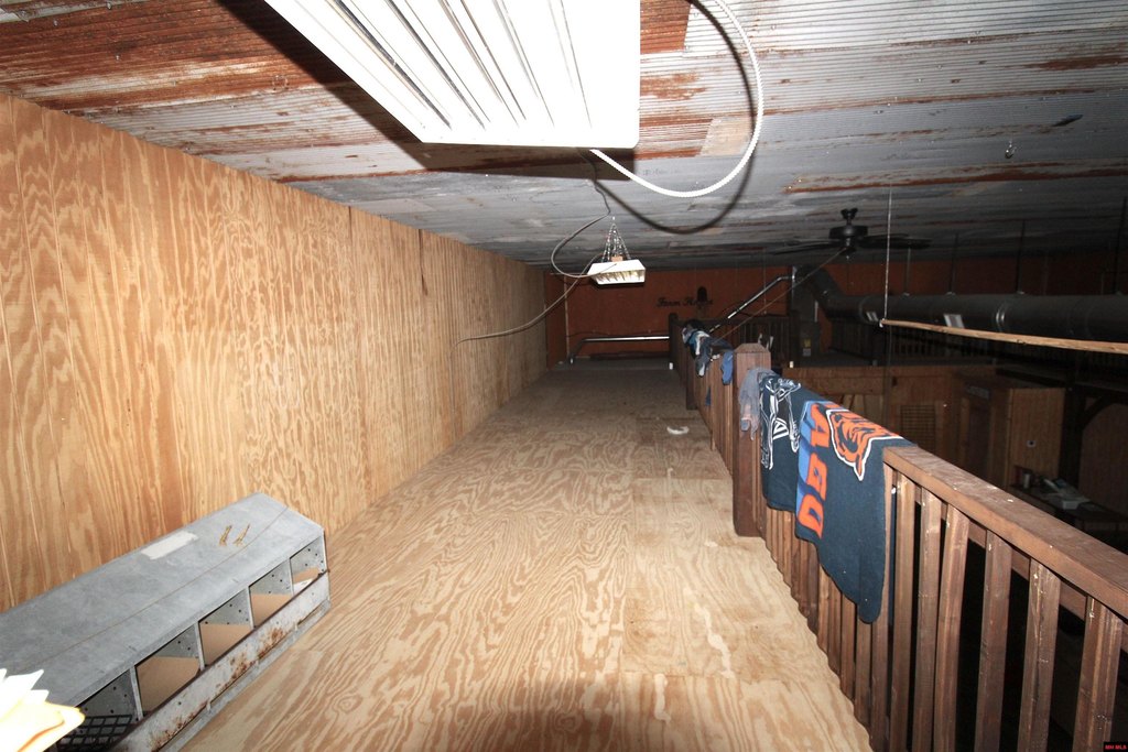 Picture 19