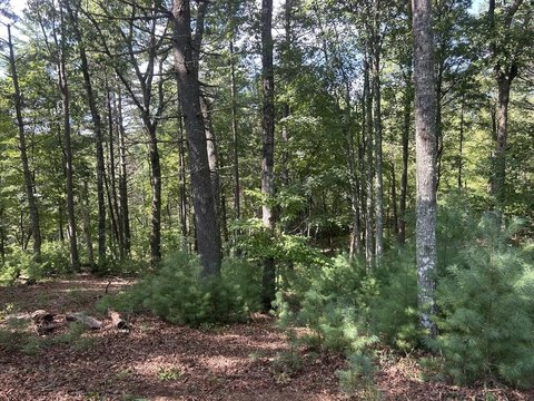 Vacant Lot, Morganton, GA