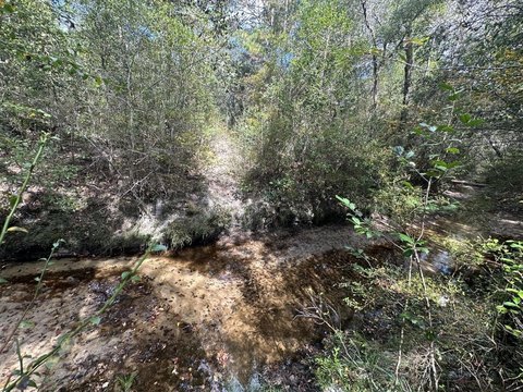 40 Acres Wooded Land Crestview