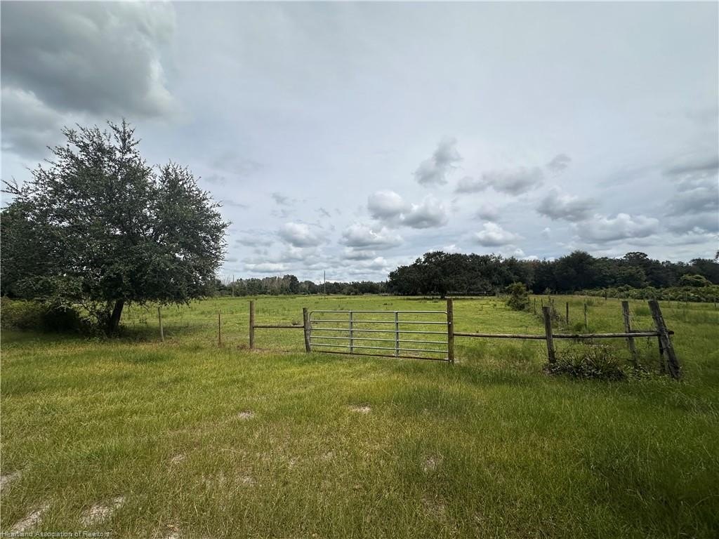 Picture 19