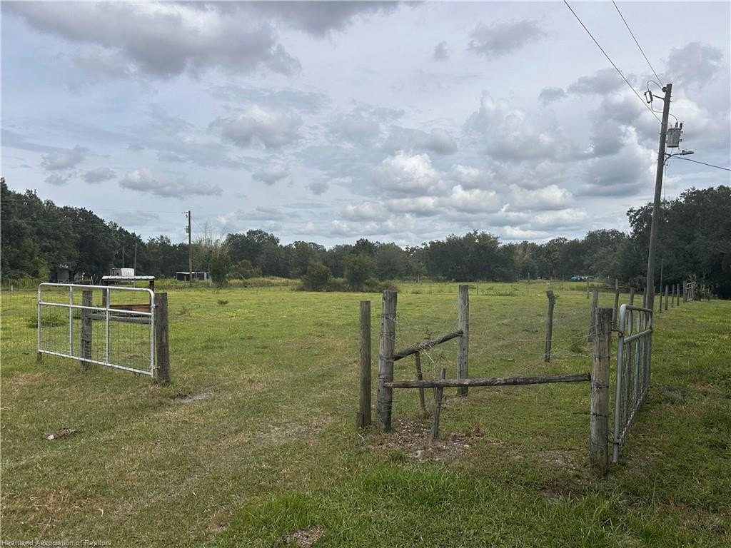 Picture 20