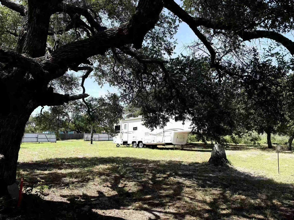 Picture 15