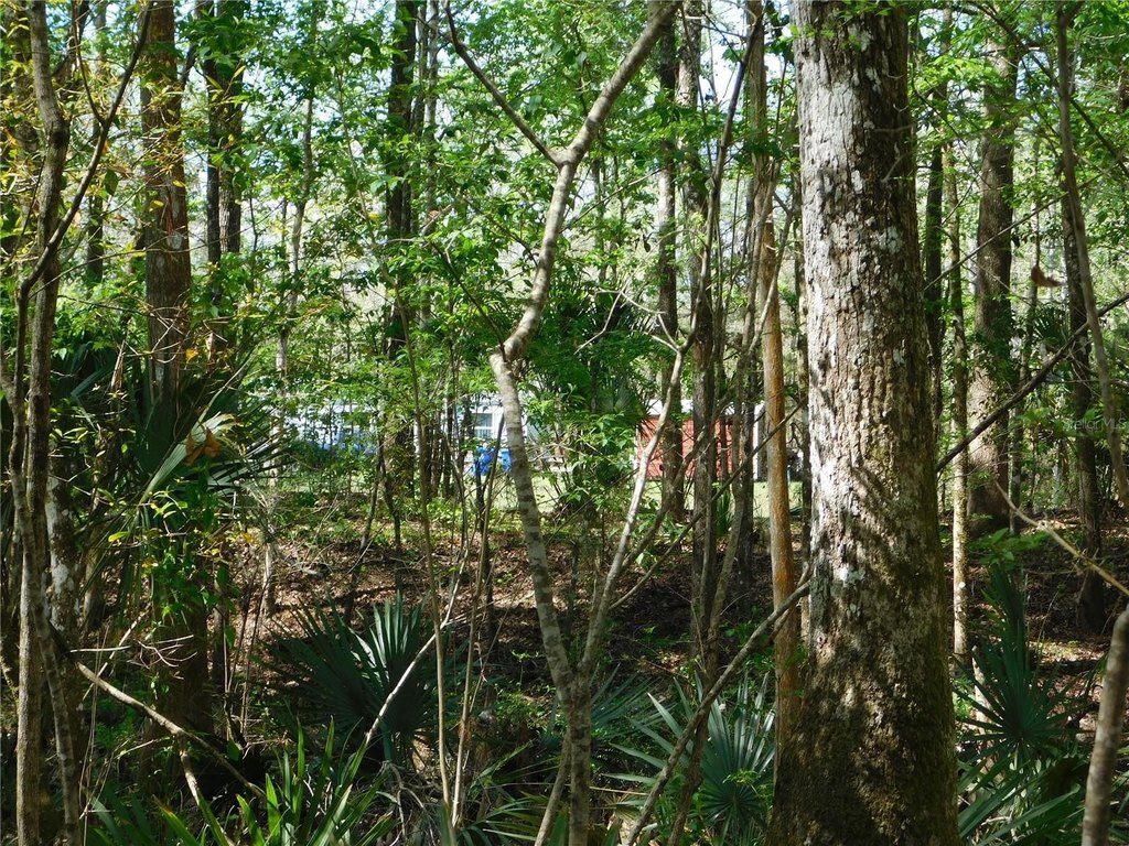 Picture 13