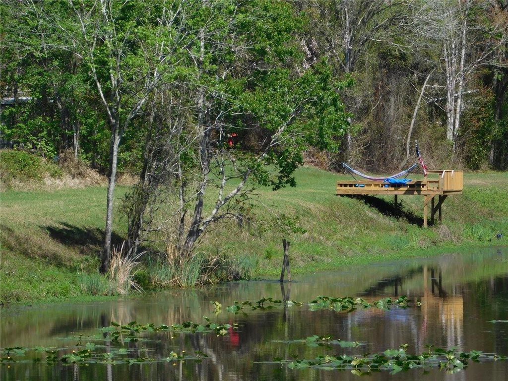Picture 15
