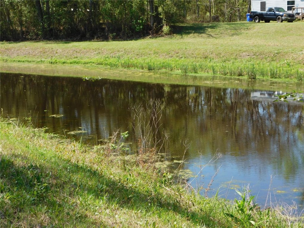 Picture 4