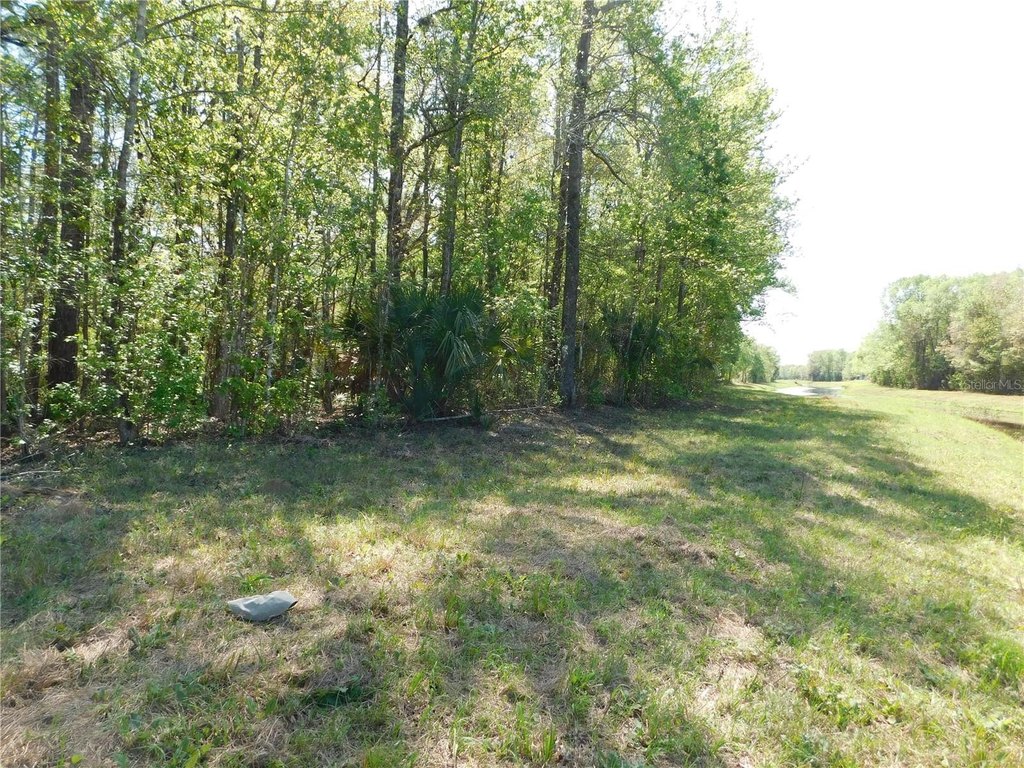 Picture 22