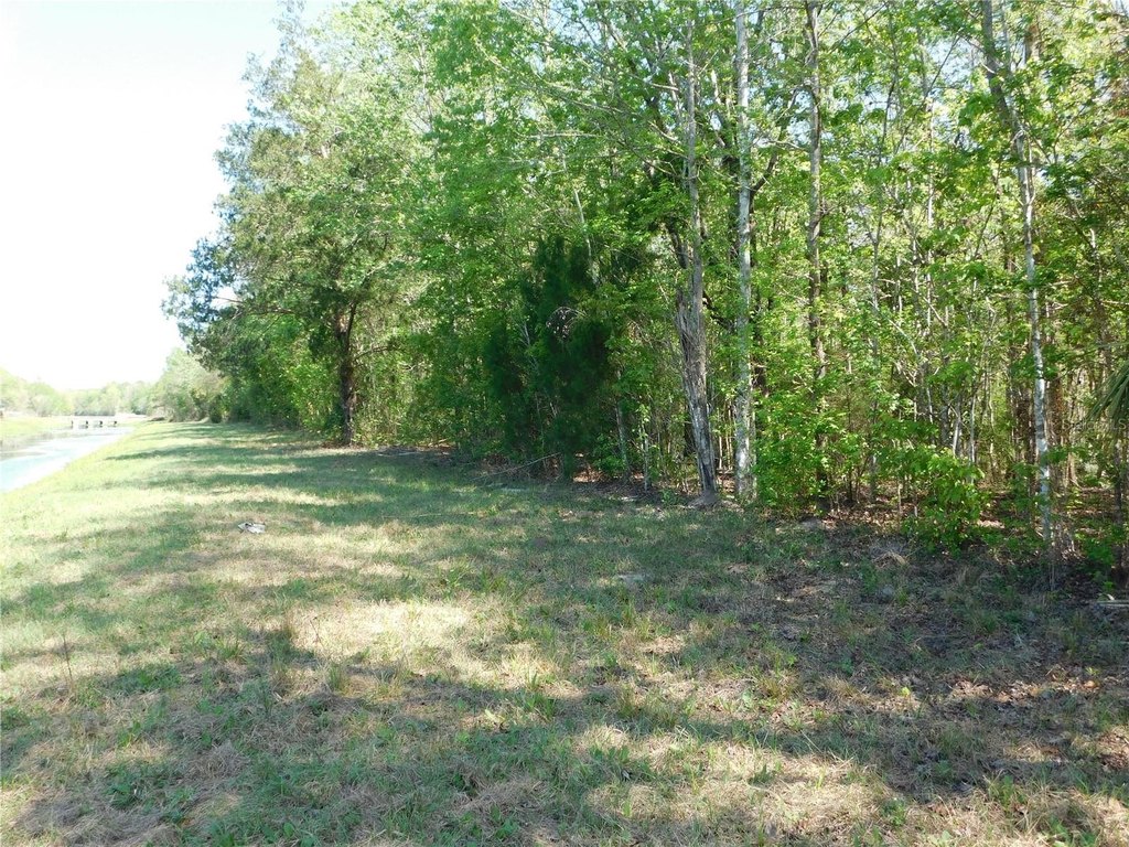 Picture 27