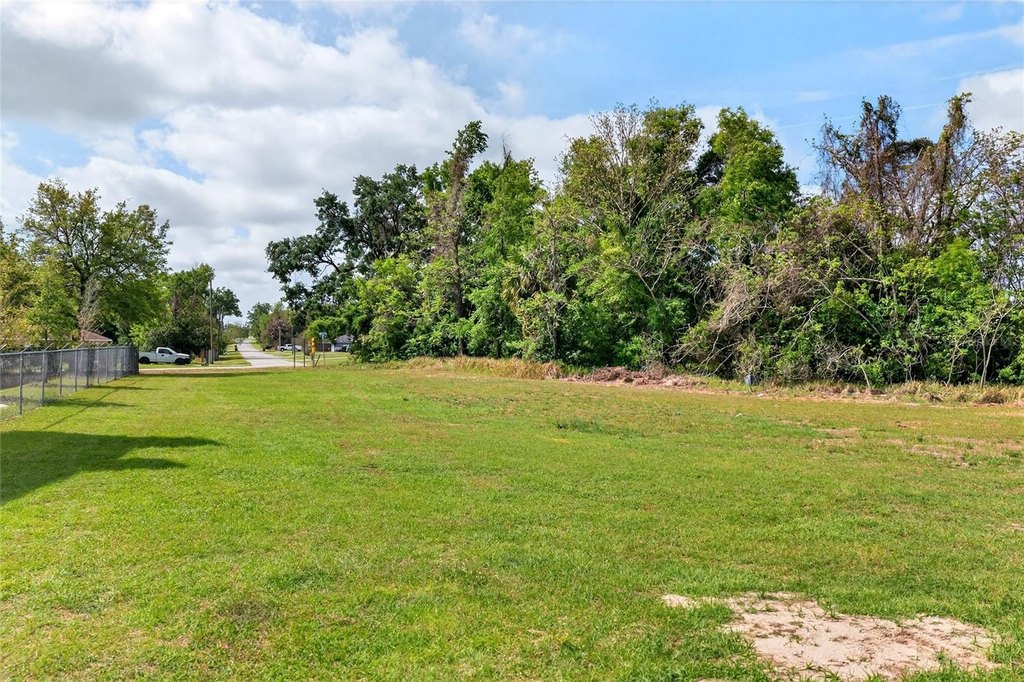 Picture 14