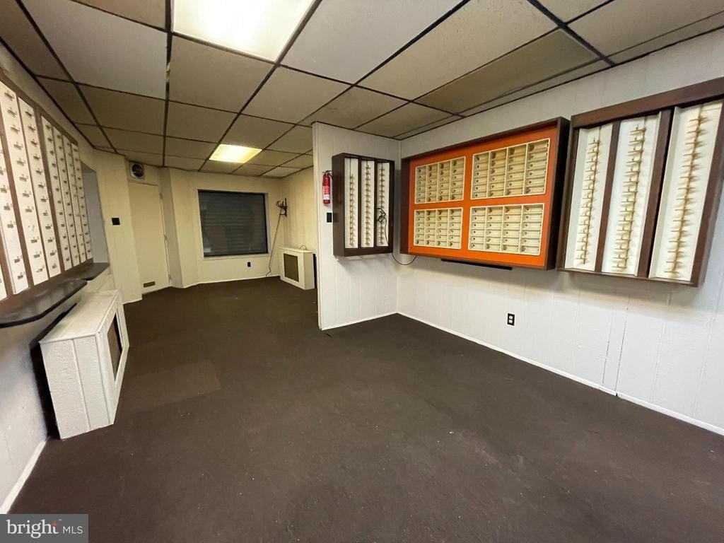 Picture 8