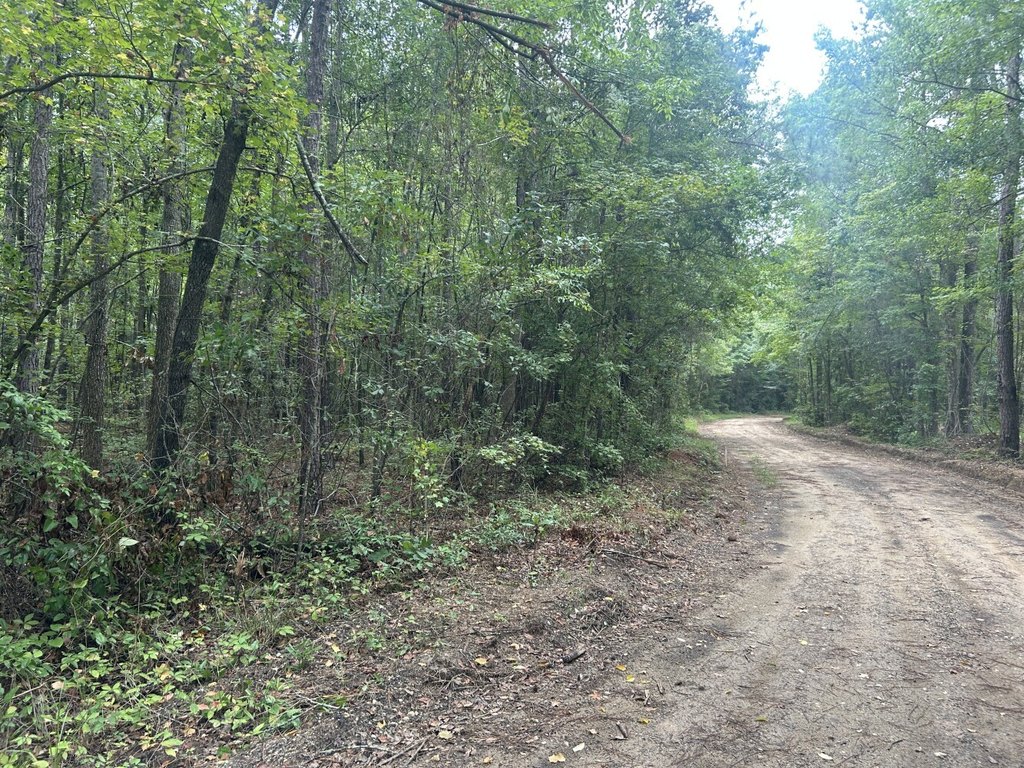 Picture 15