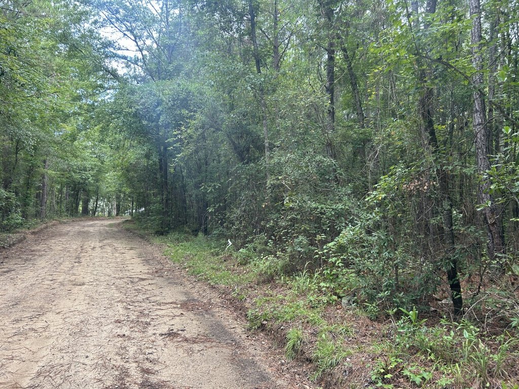 Picture 14