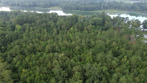 LAND - Summerton, SC