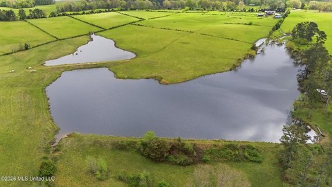 Acres 10+,Acreage - Holly Springs, MS