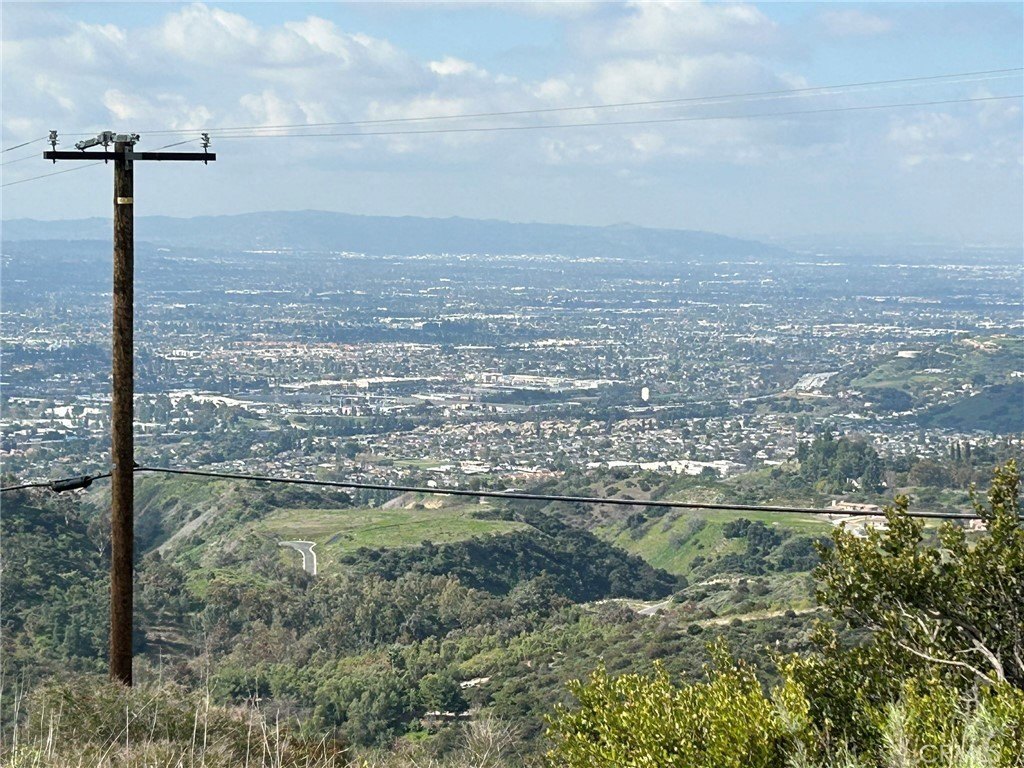 Picture 38