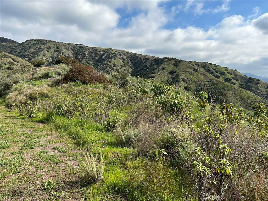 Picture 20
