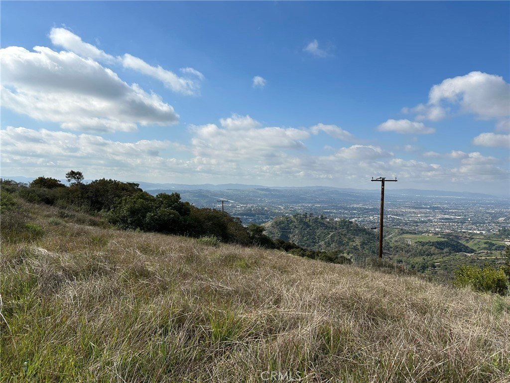 Picture 42