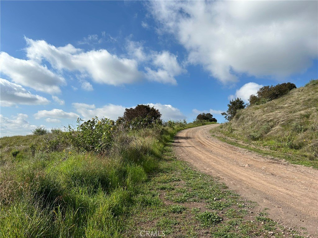 Picture 30