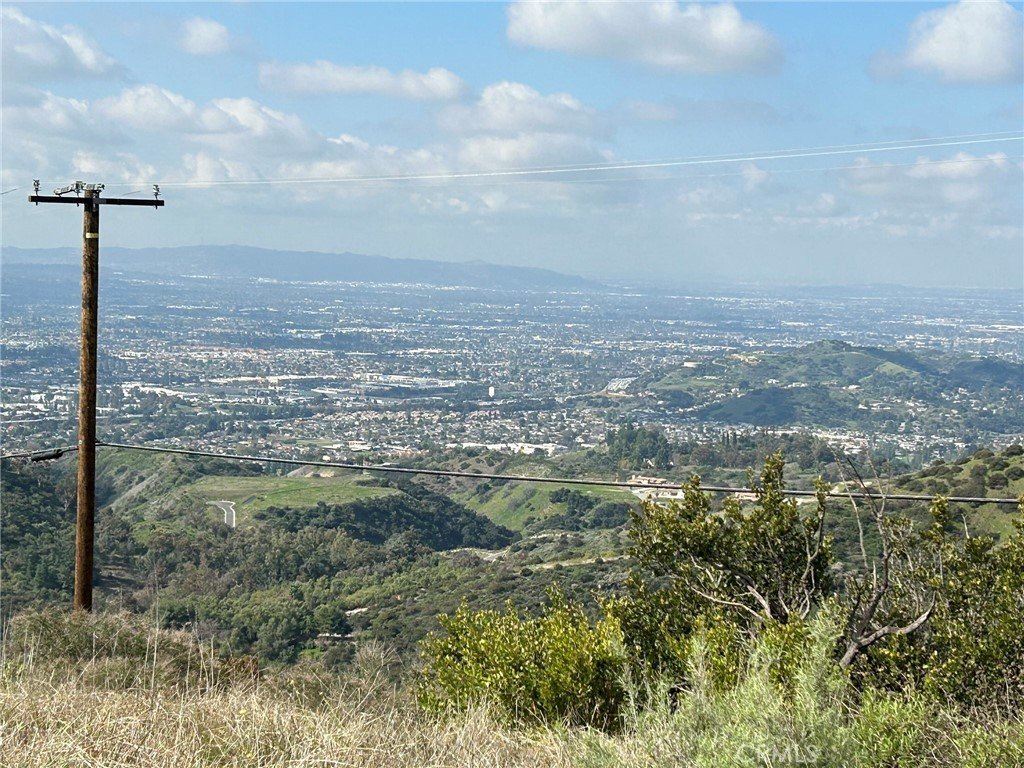 Picture 36