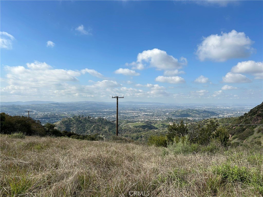 Picture 41