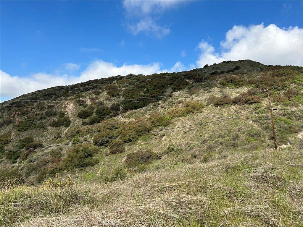 Picture 40