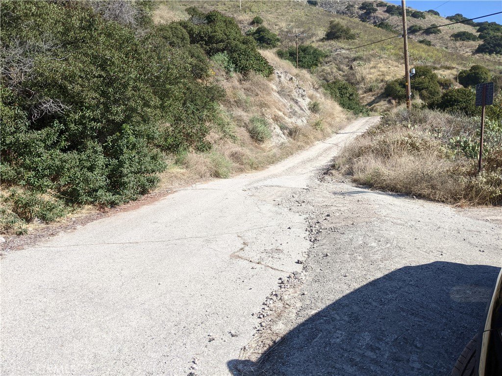 Picture 52